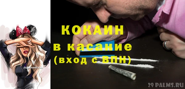 прущие грибы Аркадак