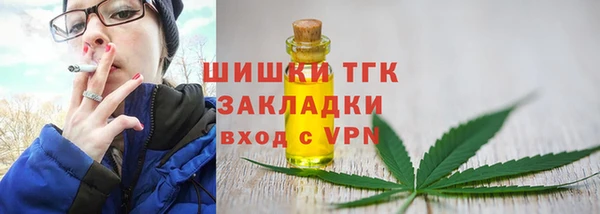 эйфоретик Арсеньев