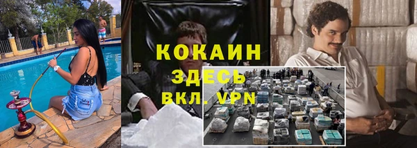 прущие грибы Аркадак