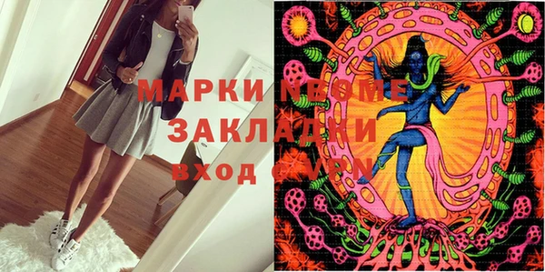 прущие грибы Аркадак