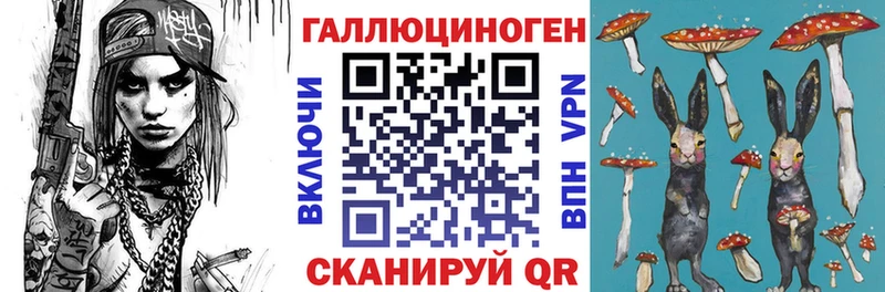 Купить Беслан Галлюциногенные грибы Cubensis